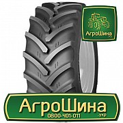 Сільгосп шина Cultor RD-03 540/65R38 Київ