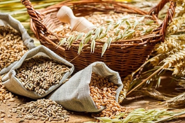 Закупаю масличные, бобовые и зерновые культуры Кировоград - изображение 1