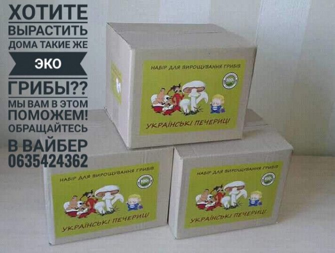 Выращивание грибов в домашних условиях Киев - изображение 1