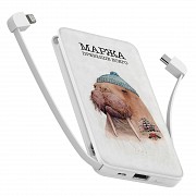 Повербанк ZIZ Маржа 10000 мАг Киев