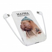 Повербанк ZIZ Маржа 5000 мАч Киев