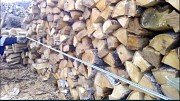 Лесхоз Полтавской области реализует колотые дрова разных пород от 5м3 Полтава