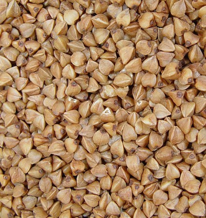 Продам гречку (зерно гречки) Киев - изображение 1