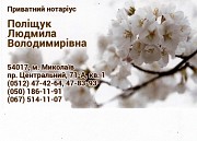 Нотаріальні послуги. м. Миколаїв, Центральний район. Николаев