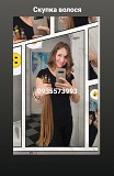 Скупка волосся кожного дня по всей Украине -volosnatural Київ