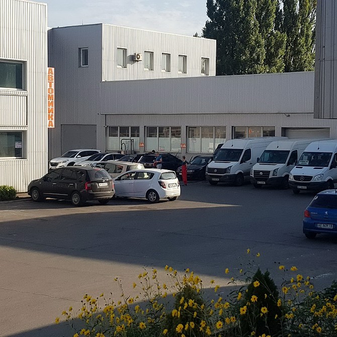 Спільний бізнес у Кривому Розі Кривой Рог - изображение 1