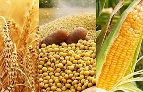 Закуповуємо зерновідходи соняшника, сої, кукурудзи, пшениці Черкассы - изображение 1