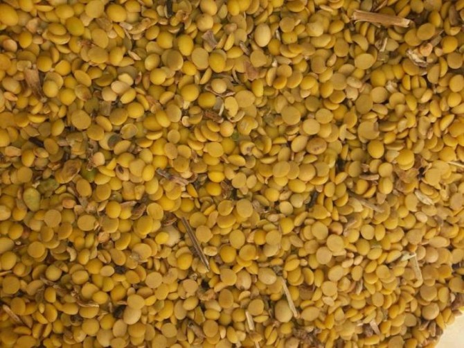 Закуповую половинки сої та зерновідходи кукурудзи Киев - изображение 1