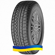 Petlas Snow Master W651 205/55 R17 91H Киев