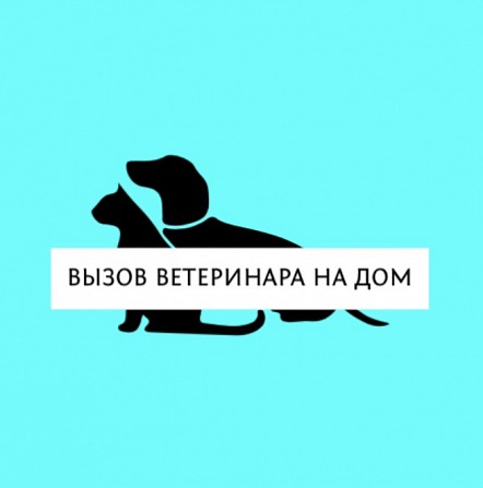 Вызов ветеринара на дом Николаев - изображение 1