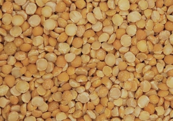 Купую сою (половинки), відходи кукурудзи Полтава - изображение 1