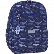 Наплічник Bagland Young 13 л. сублімація 974 (00510664) Київ