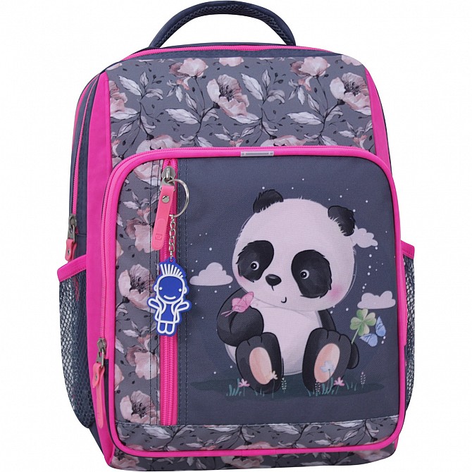 Наплічник шкільний Bagland Школяр 8 л. сірий 1090 (0012870) Київ - изображение 1