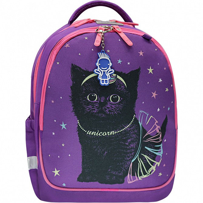 Рюкзак шкільний Bagland Butterfly 21 л. фіолетовий 1154 (0056566) Київ - изображение 1