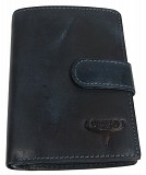 Вертикальное кожаное портмоне ALWAYS WILD SN4LCHHP синий Київ