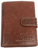 Мужское кожаное портмоне ALWAYS WILD SN4LGT Brown Київ