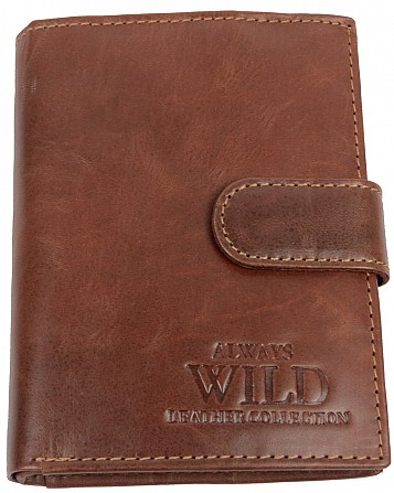 Мужское кожаное портмоне ALWAYS WILD SN4LGT Brown Київ - изображение 1