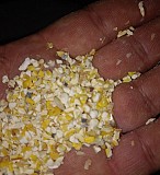 Зерновідходи, побічний продукт з кукурудзи Харьков