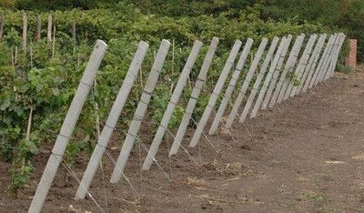 Железобетонные столбы для винограда малины Запорожья. Запорожье - изображение 1