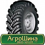 1 200/500 R508 Днепрошина И-247Б 149F універсальна Киев