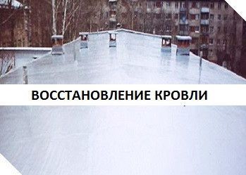 Крыши – ремонт и гидроизоляция SEELPARTNER Київ - изображение 1