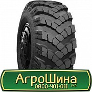 Дніпрошина ІП-184-1 (універсальна) 1220/400 R533 142G Киев