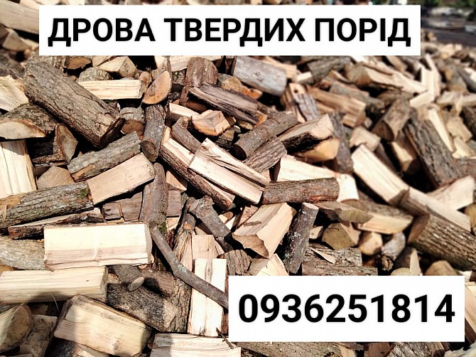 Продаємо Дрова твердих порід Черкассы - изображение 1