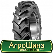 8.3 R24 Mitas TD-02 100A6 Сільгосп шина Львов