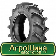 BKT TR-171 (з/х) 5.00 R12 66A6 PR6 Київ