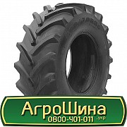 600/70 R30 Росава TR-106 152D Сільгосп шина Львов