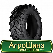 Дніпрошина DN-162 AgroPower (з/х) 710/70 R42 179D Львов