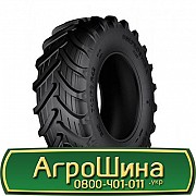 Дніпрошина DN-162 AgroPower (з/х) 710/70 R42 179D Київ