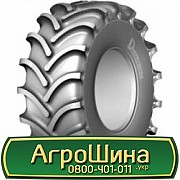 Дніпрошина ФД-16А (с/х) 28.10 R25 185B PR22 Киев
