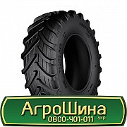 710/70 R42 Днепрошина DN-162 AgroPower 179D с/г Київ