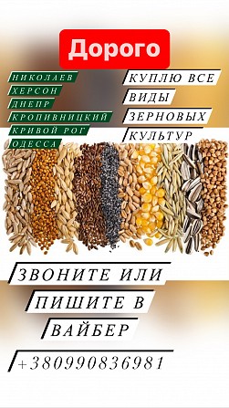 Куплю зерновые культуры. Дорого!!! Николаев - изображение 1