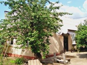 Продам не большой дом в Запорожье Запорожье - изображение 1