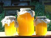 Мёд натуральный целебный со своей пасеки, недорого, мед, бджоли Городня