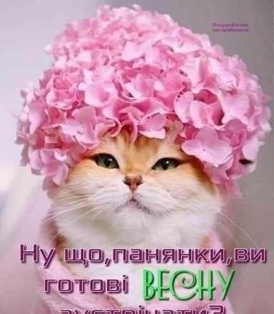 Услуги маникюр/педикюр Киев - изображение 1
