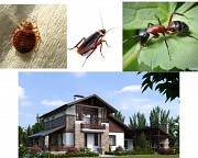 Обробка відкритих територій від кліщів, комарів, мурах та ін. Киев