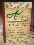 І. Васильєва Аптека в городі. Лікуємося й очищаємо організм за допомогою цибулі, часнику, буряків, м Киев