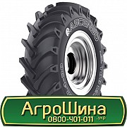 23.1 R26 Ascenso TDB 123 159A8 Сільгосп шина Київ