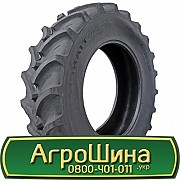 800/70 R38 Tianli AG-R 184/184B/D Сільгосп шина Львов