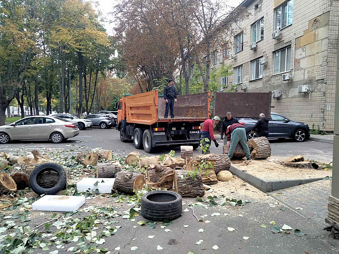 Вывоз вынос мусора демонтаж переезд разнорабочие грузчики грузоперевоз Одесса - изображение 1
