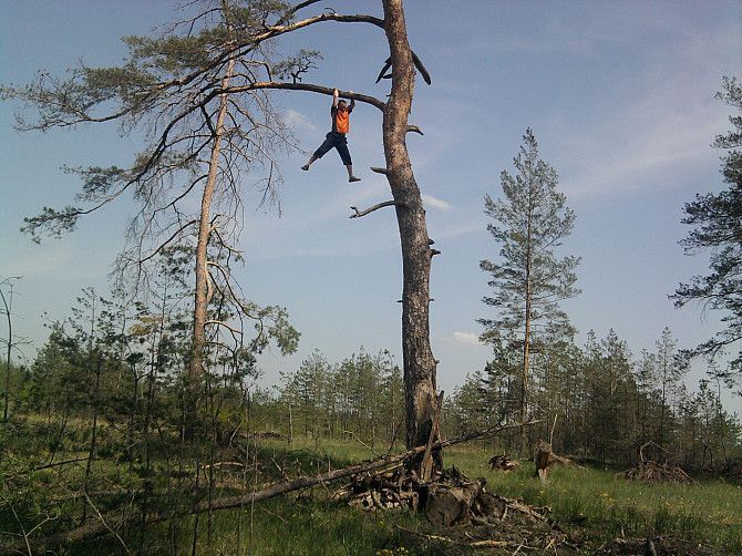 Помощник по хозяйству Дніпро - изображение 1