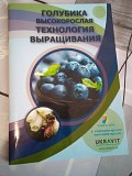 Голубика высокорослая технология выращивания Киев