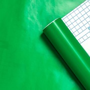Самоклеюча плівка зелена 0,45х10м SW-00000826 Киев