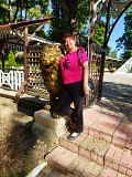 Ищу работу по уходу за больными Харьков