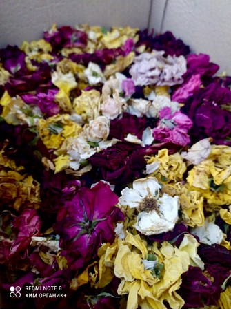 Роза сухая цветки от 100 грамм Харьков - изображение 1