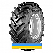 600/70 R30 Trelleborg TM1000 HIGH POWER 159D Сільгосп шина Львов