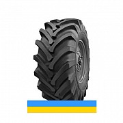 30.5 R32 Росава Ф-81 162A6 Сільгосп шина Львов